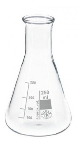 Erlenmeyer 250 Ml Boro 3.3 Everglass