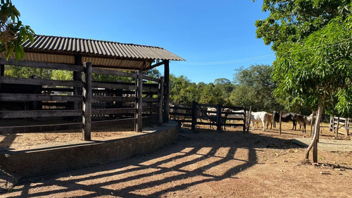 Venda De Fazenda Com Estrutura Completa Potencial Produtivo
