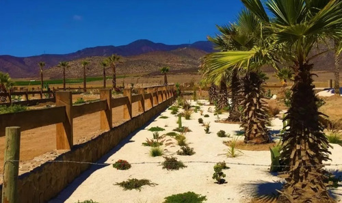Rebajado / Reserva Ripamonti/ Sector Pan De Azucar/ Coquimbo