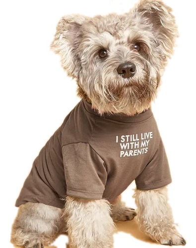 Ropa Linda Para Perros, Camiseta Para Perros Medianos. Ropa 