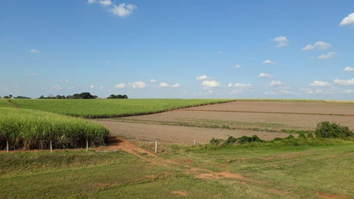 Imagem 3 de 9 de Área À Venda, 338800 M² Por R$ 20.328.000,00 - Benfica - Elias Fausto/sp - Ar0034