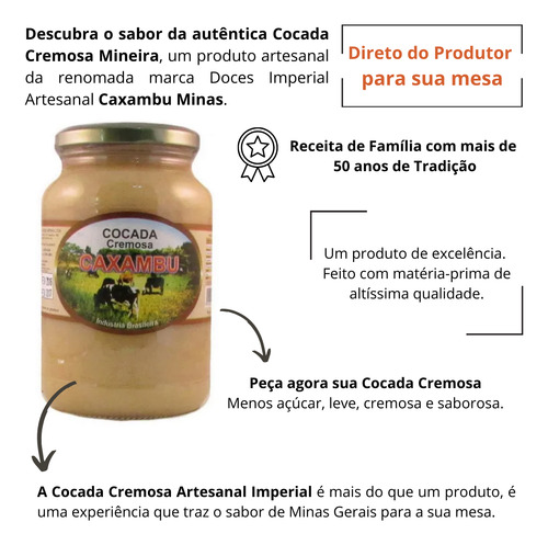 Doce Cocada Cremosa Artesanal De Minas Receita Caseira 680g