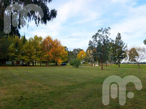 Imagen 7 de 10 de Venta Terreno - Club Miralagos