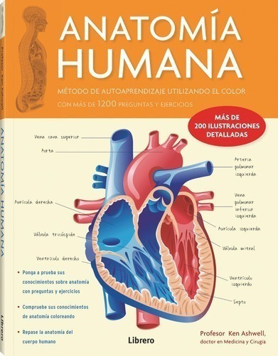 Libro - Anatomia Humana Corazon - Ken Ashwell