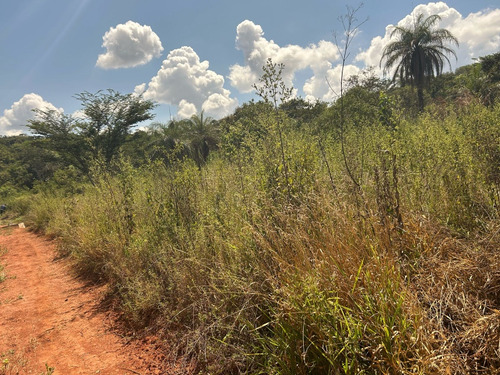 Área De Sitio