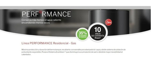 Imagen 4 de 5 de Termotanque A Gas Natural Rheem Tgnc080rh Gris Oscuro 80 L