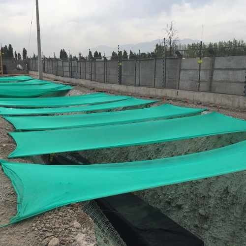Imagen 4 de 4 de Pack: 2 Malla Sombra Lisa 80% De 4,2 × 5 M Color Verde