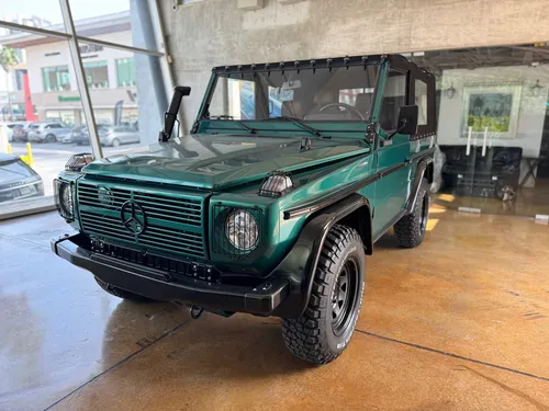 G 250 Gd 1990 Diesel Cabriolet