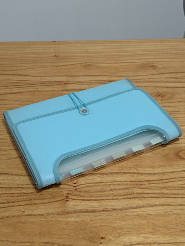 Fuelle Clasificador A4 Folios Carpeta (Usado)