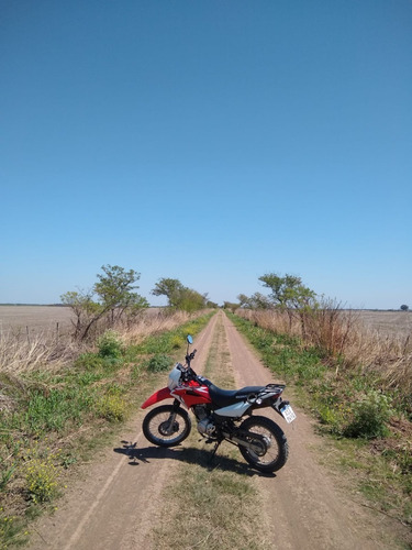 Imagen 7 de 12 de Honda Xr150l