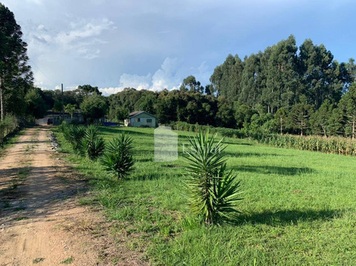 Imagem 9 de 20 de Chácara 12.000m² No Cotia, São José Dos Pinhais - Ch0038