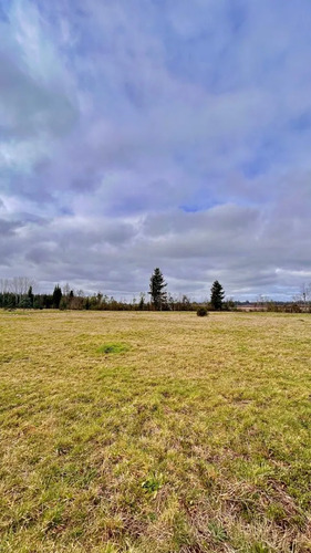 Parcela De 5.000 M2 Vista Río Cruces, San José Mariquina