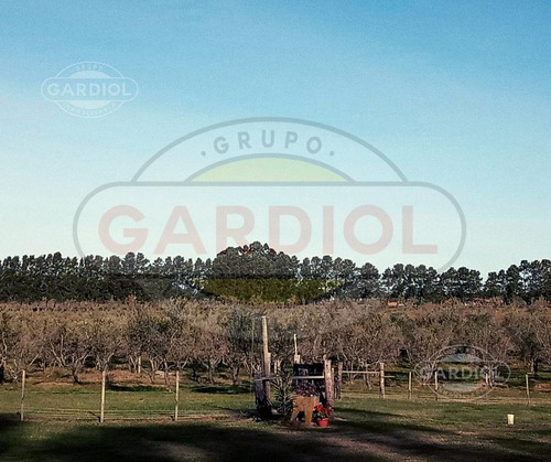 Venta De Chacra En Colonia