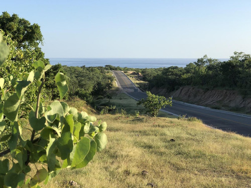 Zacaton Playa Tortuga, Zacaton Developer Land