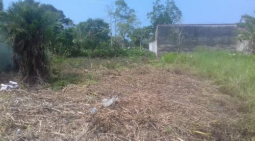 Imagem 3 de 3 de Terreno Próximo De Comércios, No Balneário Gaivota, Em Itanhaém, Com 260 M² De Área Total
