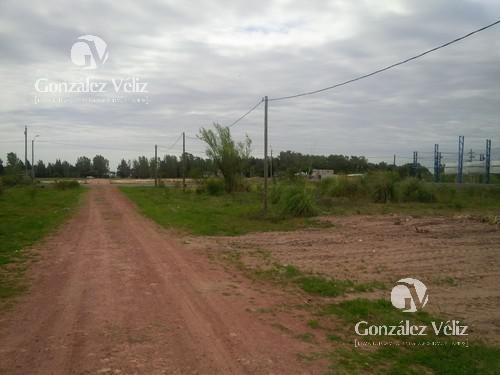Imagen 4 de 4 de Venta