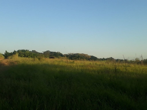 Imagem 30 de 30 de Sítio À Venda, 158994 M² Por R$ 700.000,00 - Santa Terezinha - Piracicaba/sp - Si0028