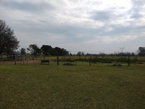 Imagen 18 de 19 de Chacra 4 Hectareas - Los Cardales - Ruta 39