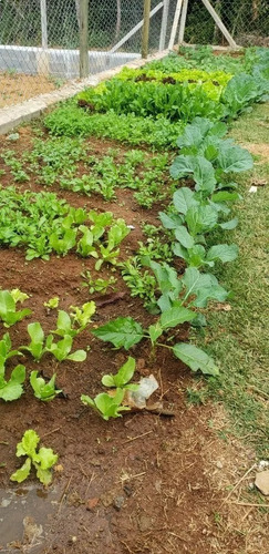 Imagem 5 de 13 de Encantadora Chácara Em Ibiúna Com 1.100m² .cód 506.