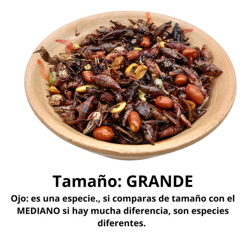 500 Gr Chapulines Botanero Grande Oaxaqueños Verdor