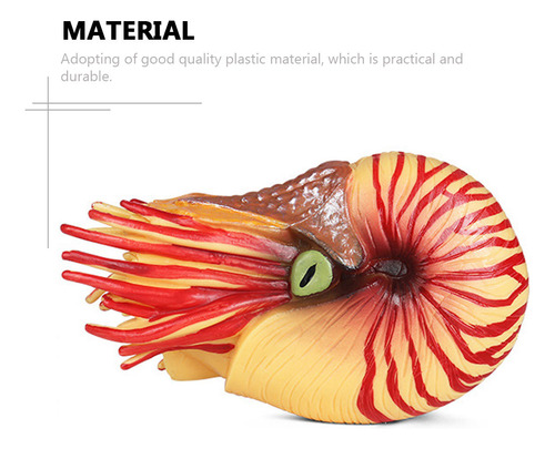 Adorno Simulado Con Forma De Nautilus, Modelo De Animal Mari
