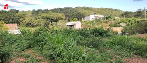 Imagem 8 de 9 de Chacara - Zona Rural - Ref: 1683 - V-1683