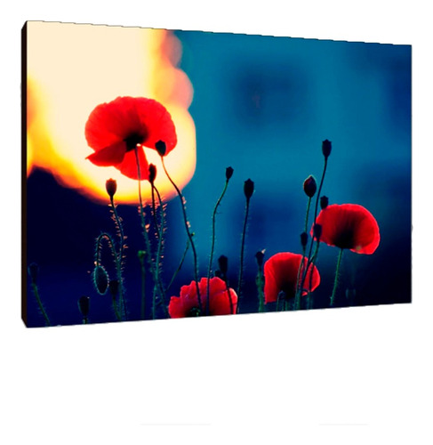 Cuadros Poster Flores Naturaleza L 29x41 (res (3))