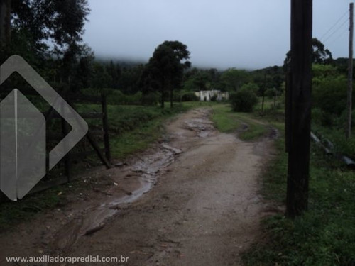 Imagem 4 de 15 de Terreno - Restinga - Ref: 170607 - V-170607