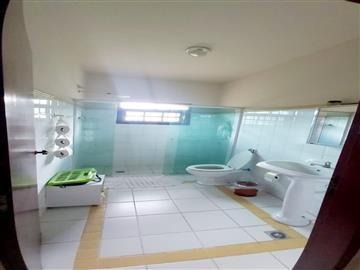 Imagem 10 de 14 de Chácaras Para Venda Em Atibaia