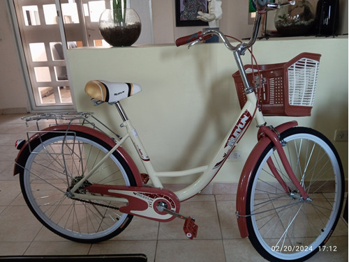 Bicicleta Vintage 