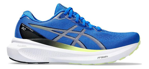 Asics Gel Kayano 30