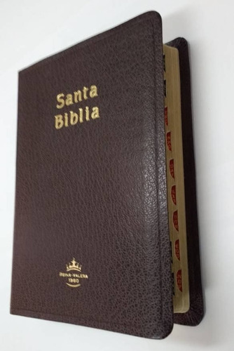 Biblia Reina Valera 60 Con Indice Y Concordancia