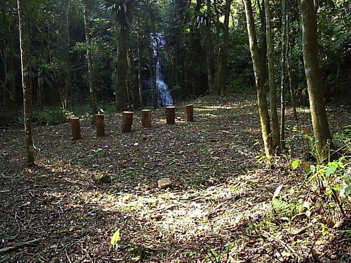 Belíssimo Sítio 5 Alq. Piedade Sp