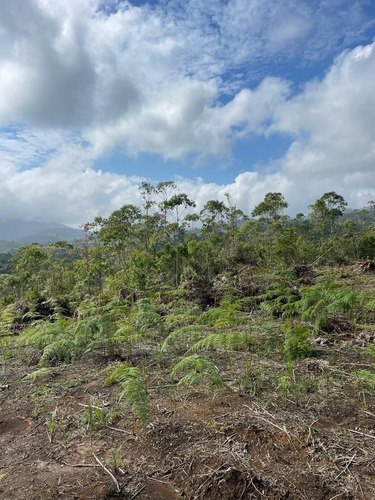 Imagem 13 de 30 de 51- Vendo Terreno Por 60 Mil Em Mogi Das Cruzes