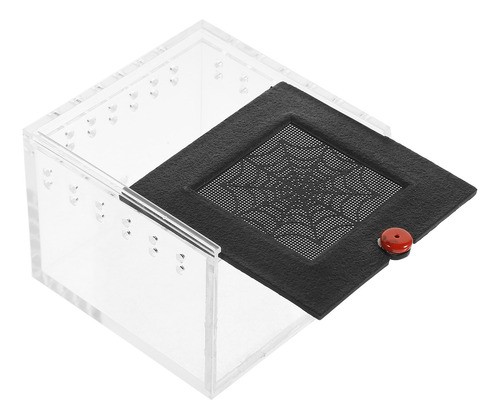 Incubadoras De Reptiles Con Visión Transparente, Lagartijas