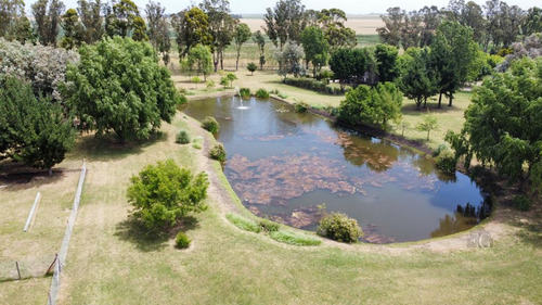 Terreno - Mar Del Plata - Pileta - Mar - Country - Barrio Privado - Golf - Costa Atlántica