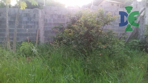 Imagem 3 de 4 de Terreno À Venda, 250 M² Por R$ 180.000 - Chácaras Reunidas Igarapés - Jacareí/sp - Te0026