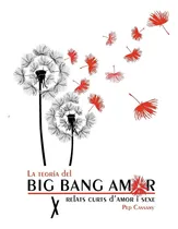 Comprar Libro: La Teoría Del Big Bang Amor: Y Otros Cuentos (spanish