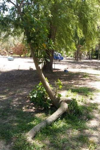 Imagen 5 de 10 de Terreno En Venta En Islas Del Parana