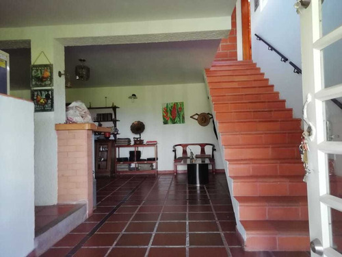 Imagen 9 de 14 de Finca En San Vicente 10 Mil Mts 1.000 Mill Antes Del Pueblo