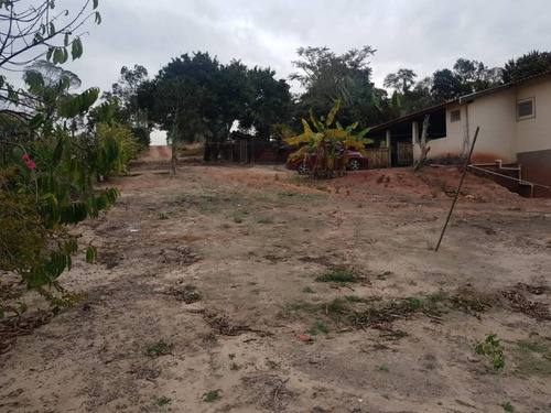 Imagem 4 de 26 de Venda - Chácara - Área Rural De Limeira - Limeira - Sp - Mg748210