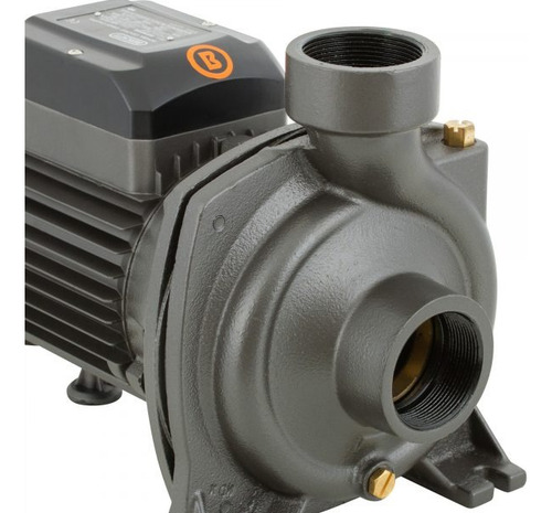 Bomba Superficie 2hp Centrífuga Gran Caudal Bercatti //cyj