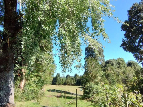Campo Orilla De Rio Blanco Con Cabaña
