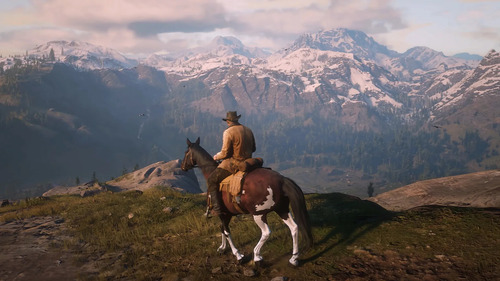 Red Dead Redemption 2 Standard || Rockstar Games Account