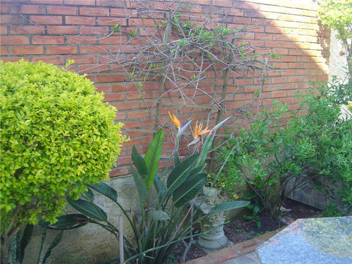 Imagem 28 de 30 de Sobrado Residencial À Venda, Espírito Santo, Porto Alegre. - So0409