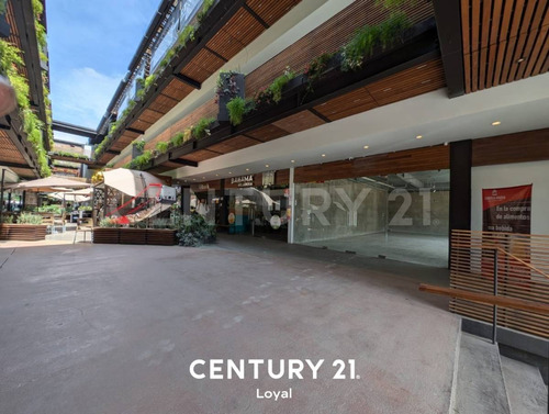Local Comercial En Plaza Nueva