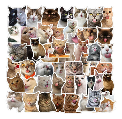 Pegatinas De Gatos Lindos Pegatinas De Pvc Lindas Para Gatos