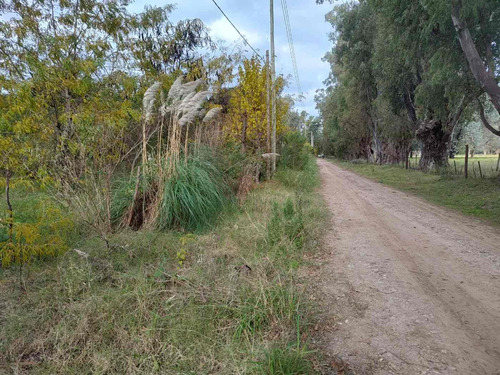 Campo En Venta 9 Hectareas