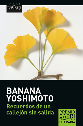 Recuerdos De Un Callejón Sin Salida De Banana Yoshimoto