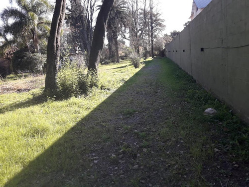 Imagen 7 de 14 de Venta Casa Quinta A Refaccionar Lote 6900mts La Reja Moreno